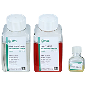 间充质干细胞无血清培养试剂盒,无血清培养基,MSC无血清培养