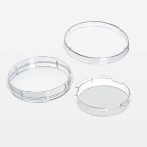 100mm细胞嵌入皿,细胞小室,transwell