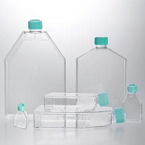 细胞培养瓶,塑料细胞培养瓶,透明细胞培养瓶