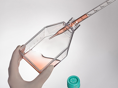 斜颈设计，易于倾倒，方便移 液管和细胞刮刀的进出