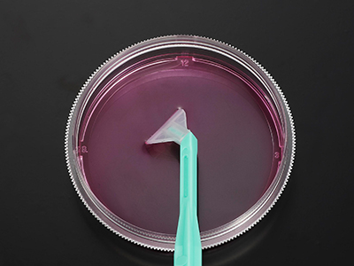 可自由旋转刀片，能刮取各个角落，收获细胞