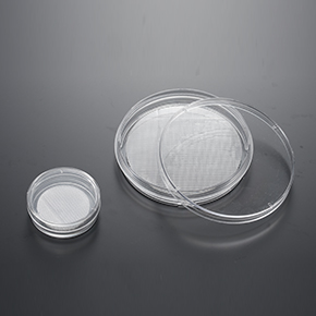 CellSCAFLD?3D细胞培养支架,球状体和3D细胞培养