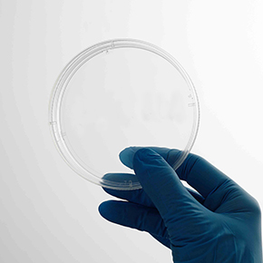 CellDETACH?温敏细胞培养器,温度感应细胞培养表面