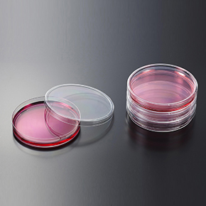 一次性细菌培养皿,细菌培养皿,平板