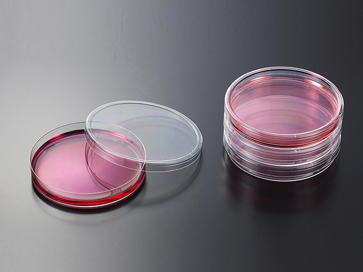 内页720×540 拷贝1.jpg