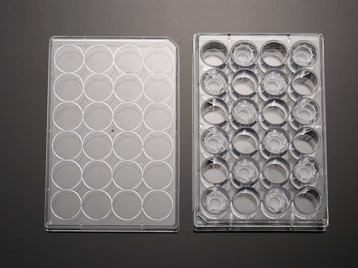 内页720×540 拷贝.jpg