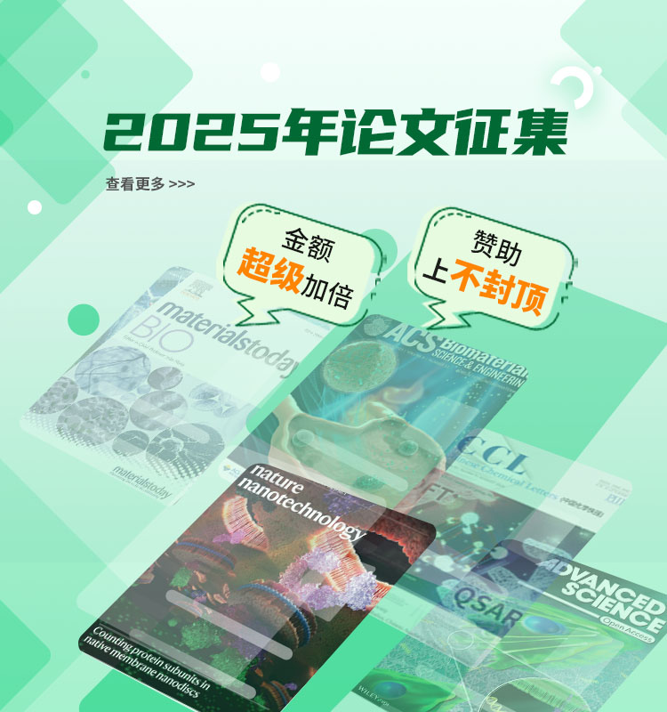 2025论文