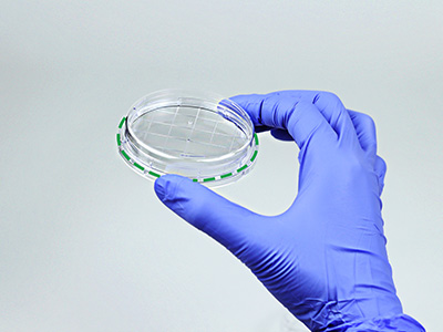 皿底抬高与边缘持握设计， 方便握取与操作，稳定叠放不易倒